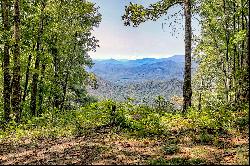 00 Buck Knob Road, Scaly Mountain, NC 28775