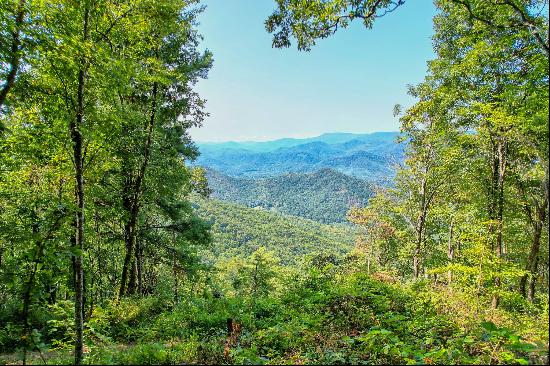 00 Buck Knob Road, Scaly Mountain, NC 28775