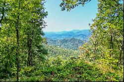 00 Buck Knob Road, Scaly Mountain, NC 28775