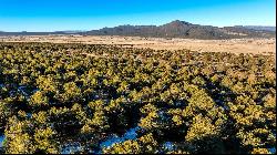 8 Echo Forest Road, Questa NM 87556