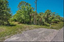 0 SW Tommy Clement Street, Indiantown FL 34956