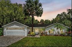 11624 Monette Road, Riverview FL 33569