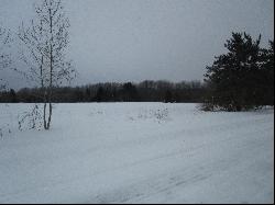 McMichael Road Parcel(s) C-G, Alanson MI 49706