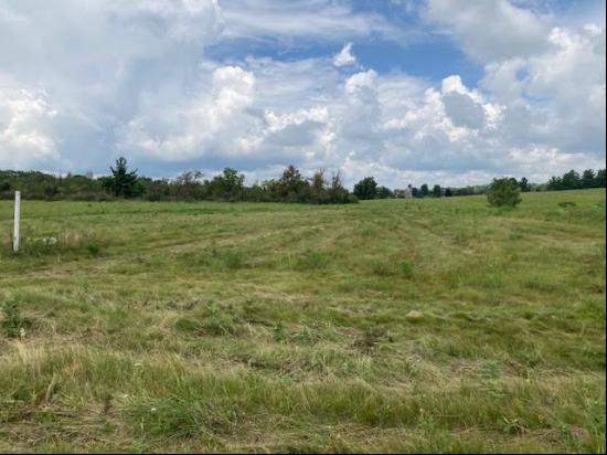 Lot #33 W LONGWOOD Drive, Woodstock IL 60098