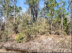 4640 Cedar Ford Boulevard, Hastings FL 32145