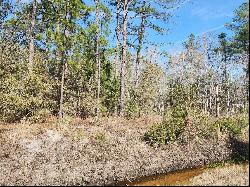 4640 Cedar Ford Boulevard, Hastings FL 32145