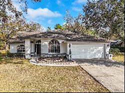 23523 Shining Star Drive, Land O Lakes FL 34639