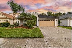 3100 Sunwatch Drive, Wesley Chapel FL 33544