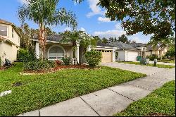 3100 Sunwatch Drive, Wesley Chapel FL 33544