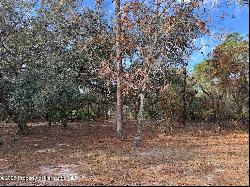 11103 Marmotte Road, Brooksville FL 34614