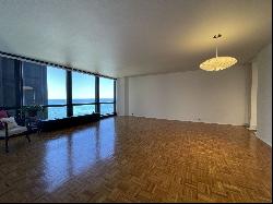 900 N Lake Shore Drive #1103, Chicago IL 60611