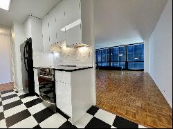 900 N Lake Shore Drive #1103, Chicago IL 60611