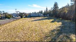 Vacant Lot in Healdsburg