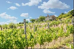 Historic stone country house with unique panorama and vineyards