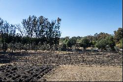 Viñedo San Lucas Lot Next to Chapel