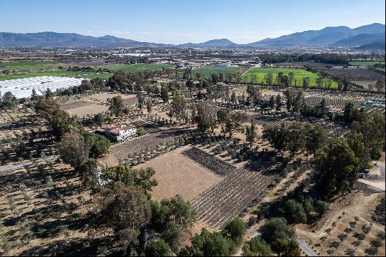 Vinedo San Lucas Lot Next to Chapel