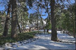 29223 Pigeon Hawk Lane, Lake Arrowhead, CA 92352