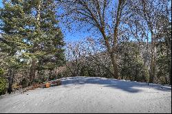 29223 Pigeon Hawk Lane, Lake Arrowhead, CA 92352