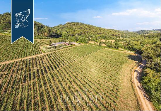 Luxury estate for sale in the heart of Chianti Classico, in Tuscany