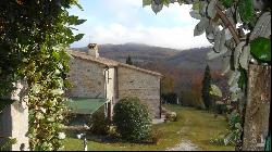 Stone Casale with pool and land, Radicofani, Siena – Tuscany