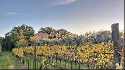 Country House with cellar and vineyard, Montepulciano - Tuscany