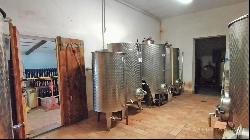 Country House with cellar and vineyard, Montepulciano - Tuscany