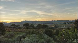 Country House with cellar and vineyard, Montepulciano - Tuscany