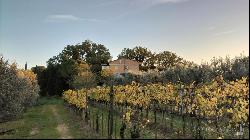 Country House with cellar and vineyard, Montepulciano - Tuscany