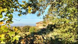 Country House with cellar and vineyard, Montepulciano - Tuscany