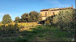 Country House with cellar and vineyard, Montepulciano - Tuscany