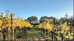 Country House with cellar and vineyard, Montepulciano - Tuscany