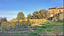 Country House with cellar and vineyard, Montepulciano - Tuscany