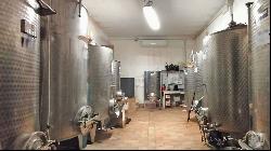 Country House with cellar and vineyard, Montepulciano - Tuscany