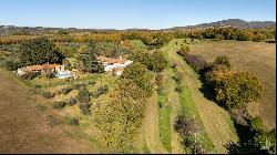 La Cascata with olive grove, Monteleone d'Orvieto - Umbria