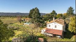 La Cascata with olive grove, Monteleone d'Orvieto - Umbria