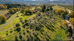 La Cascata with olive grove, Monteleone d'Orvieto - Umbria