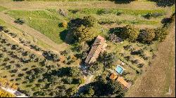 La Cascata with olive grove, Monteleone d'Orvieto - Umbria