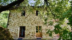 Character Stone House with olive grove, Piegaro - Umbria