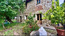 Character Stone House with olive grove, Piegaro - Umbria