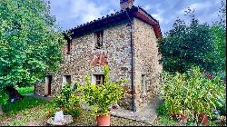 Character Stone House with olive grove, Piegaro - Umbria