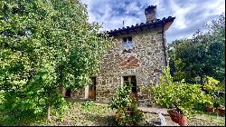 Character Stone House with olive grove, Piegaro - Umbria