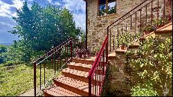 Character Stone House with olive grove, Piegaro - Umbria