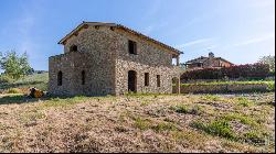 Michelangelo country house with pool and garden, Montalcino, Siena 