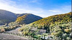 La Cesa Country House in ancient stone, Cortona - Tuscany 