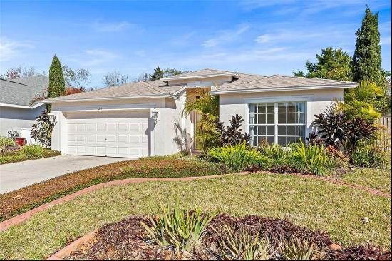 4251 Whittner Drive, LAND O LAKES, FL, 34639