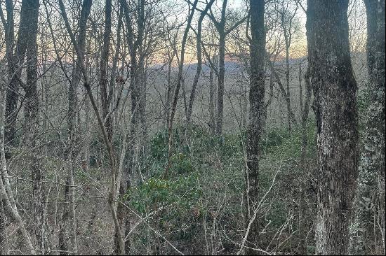 8+ Acres off Zeb Buchanan Road