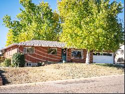 Mid-Century Modern Ranch Home