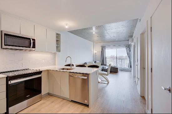 Montreal (Mercier/Hochelaga-Maisonneuve) Residential