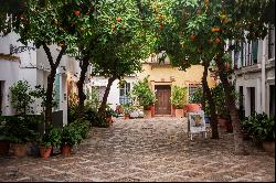 Casa Guadalupe, a house full of character in the very heart of Seville