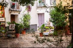 Casa Guadalupe, a house full of character in the very heart of Seville